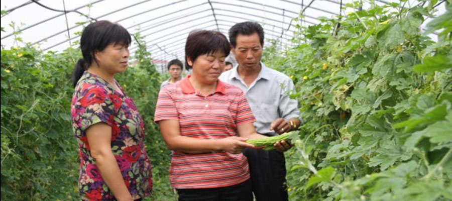 她把最美年華奉獻給了鄉(xiāng)親